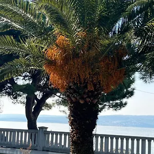 Right On The Crikvenica